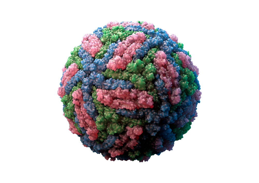 Usutu Virus