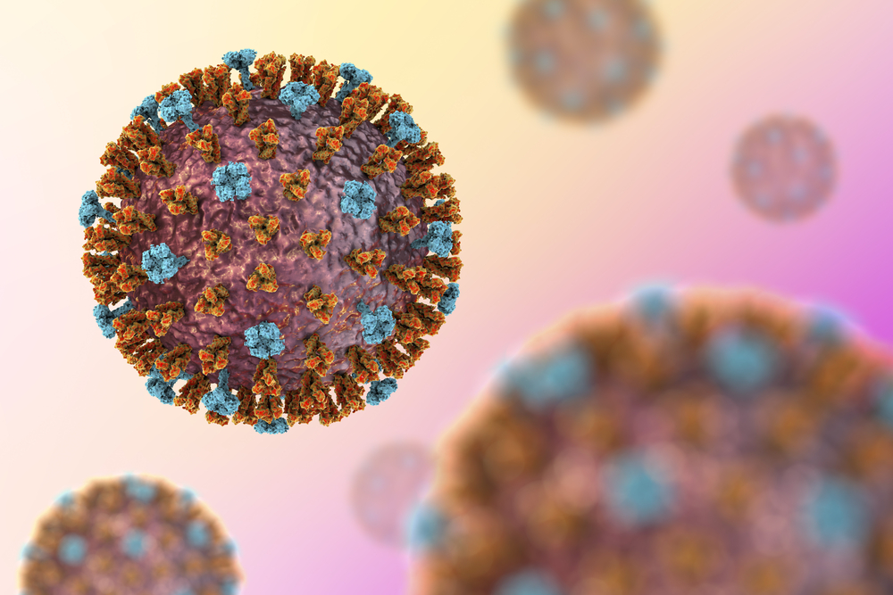 Measles Virus