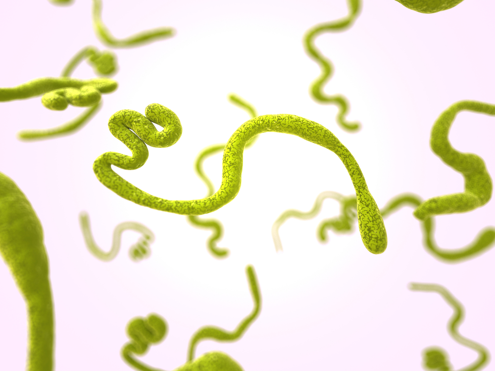 Ebola Virus