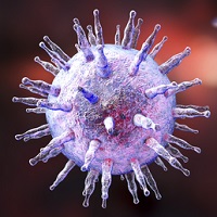 Epstein Barr Virus