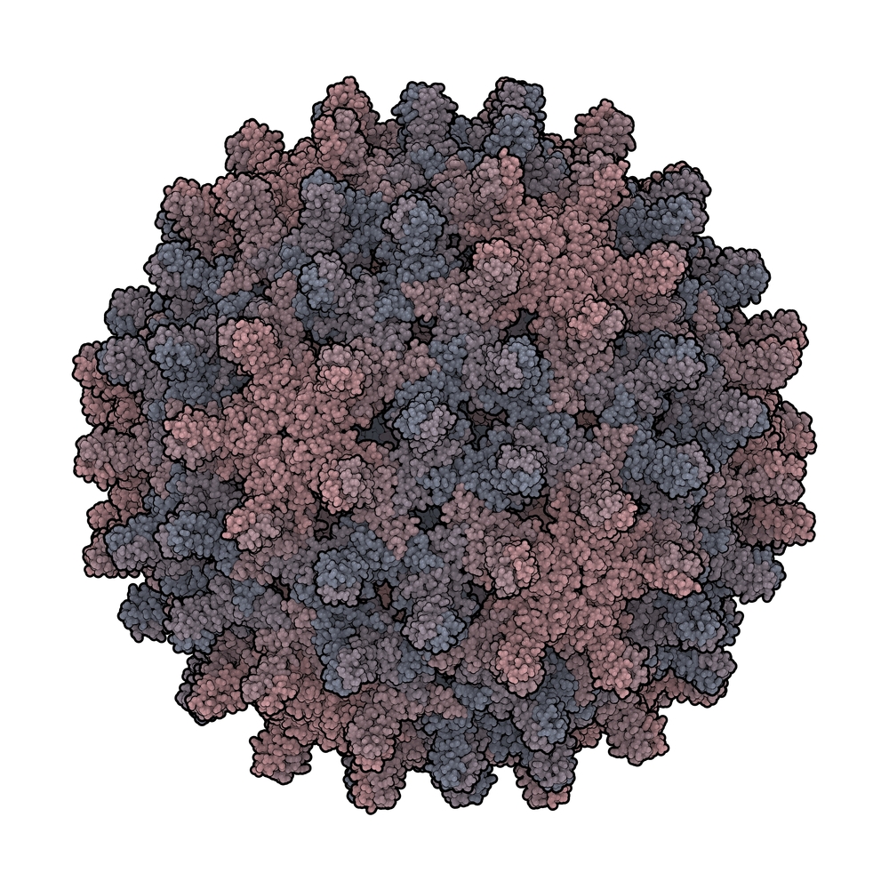 Hepatitis B