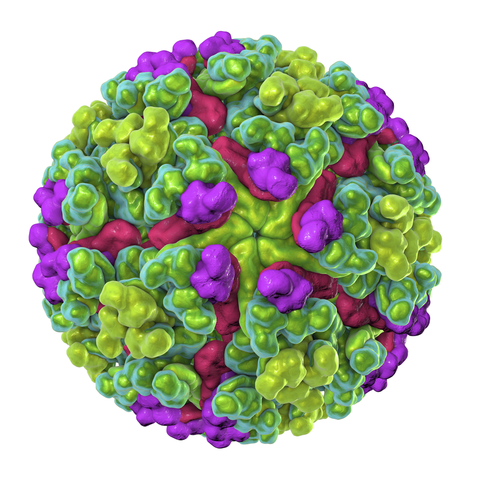 Chikungunya Virus