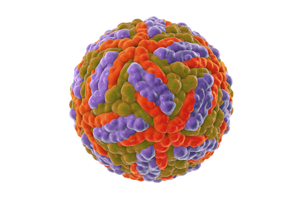 Yellow Fever Virus