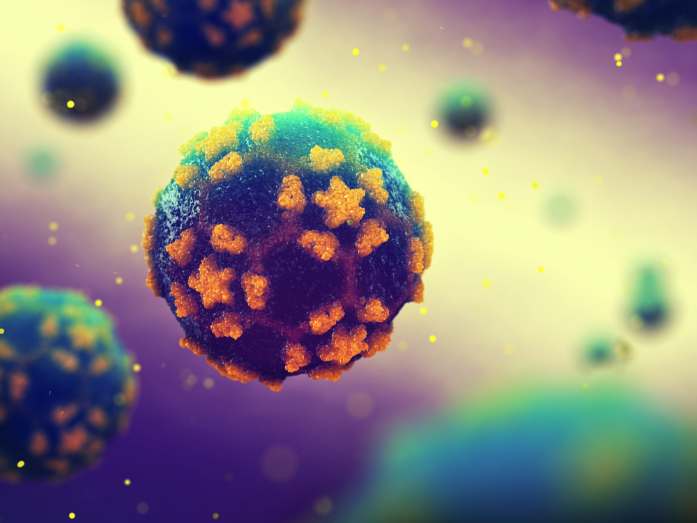 Echovirus