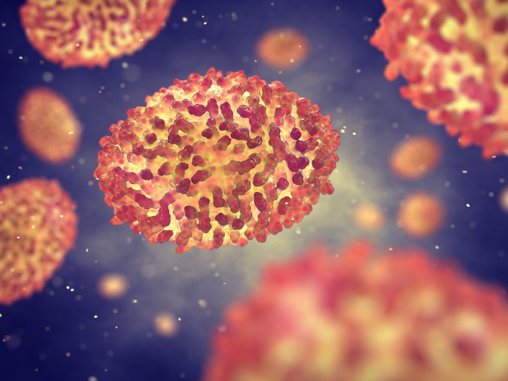 Monkeypox virus
